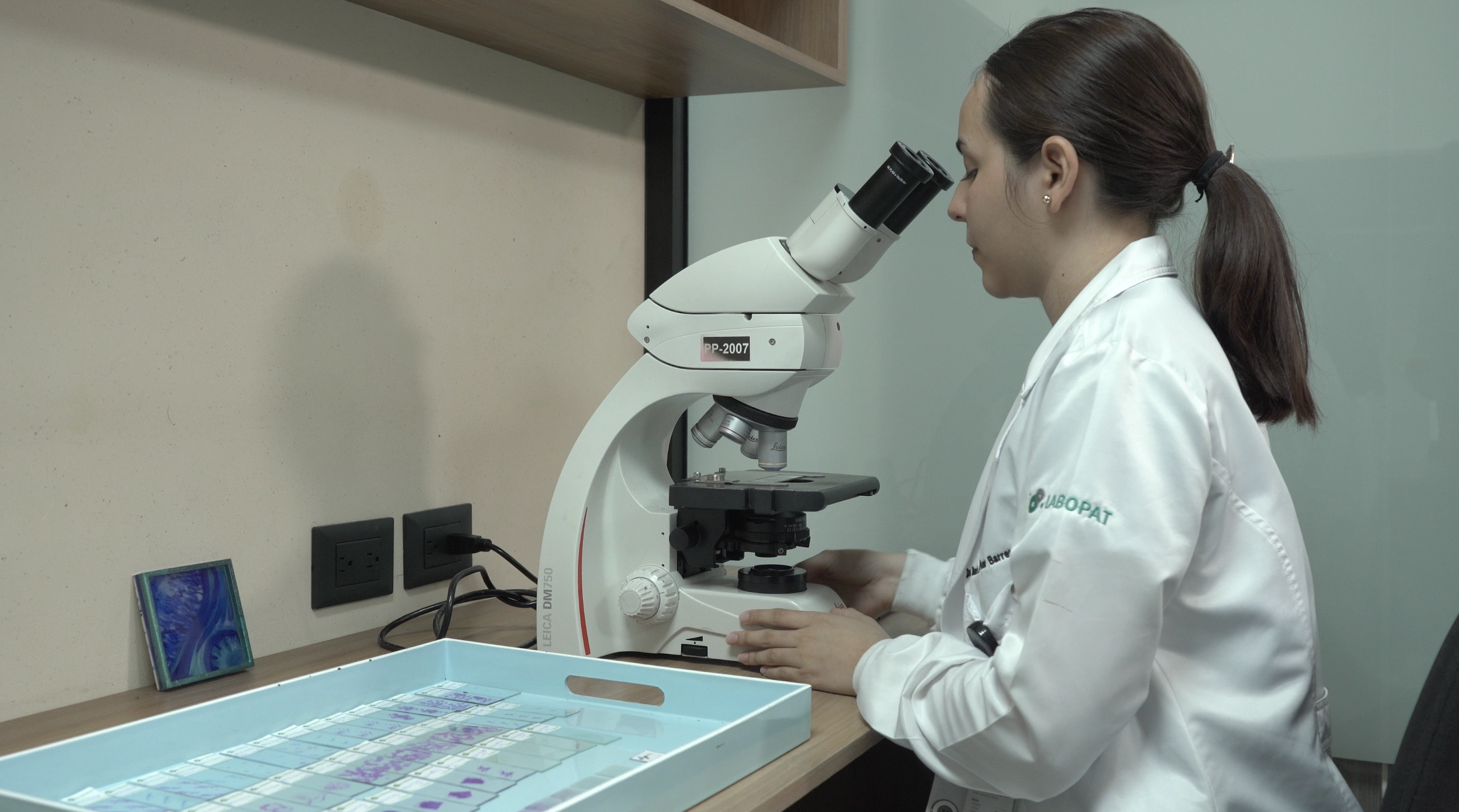 Laboratorio 2